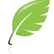 Our Commitment to the Environment